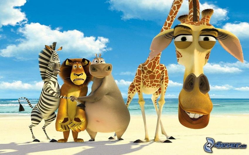 Madagaskar, zebran från Madagaskar, lejon, flodhäst, giraffen från Madagaskar