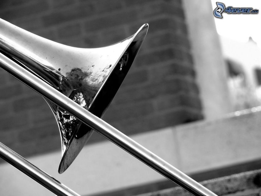 trombon, svartvitt foto