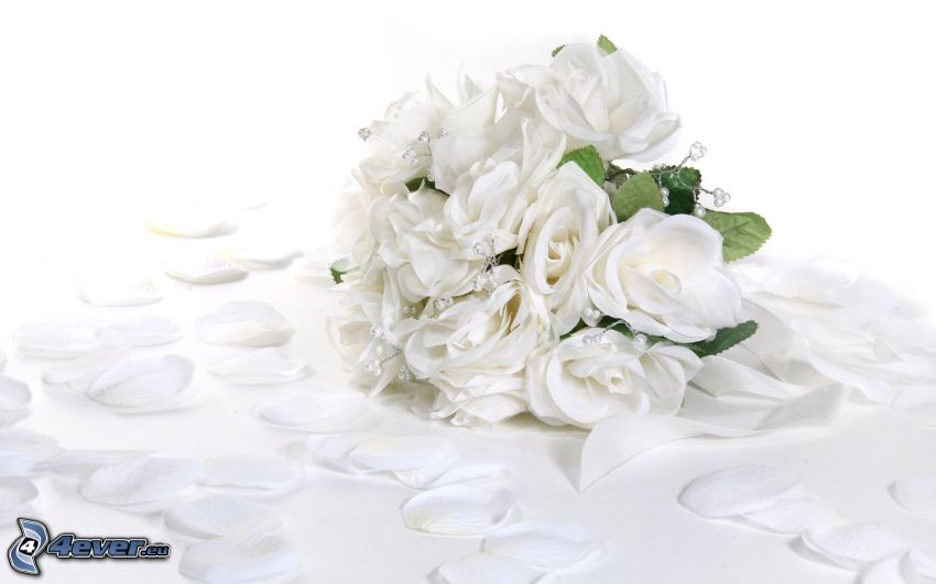 brudbukett, vita blommor