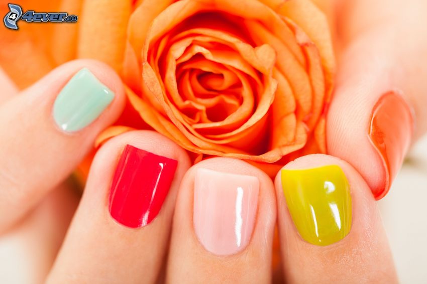 målade naglar, orange ros, färger