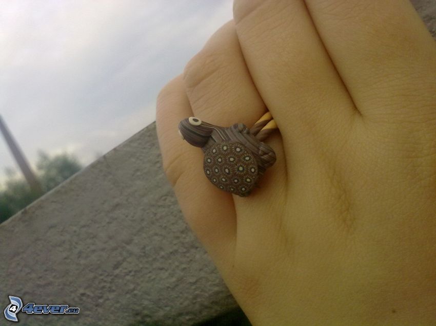ring, sköldpadda, hand