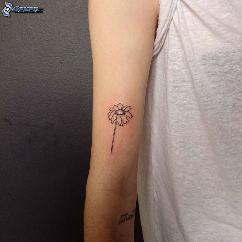 tatuering, blomma