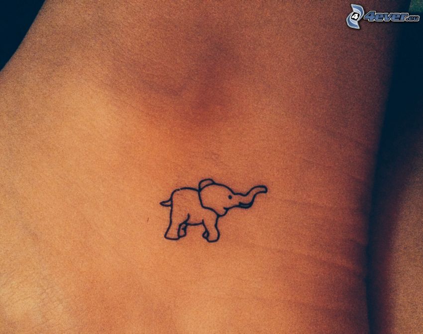 tatuering, elefant