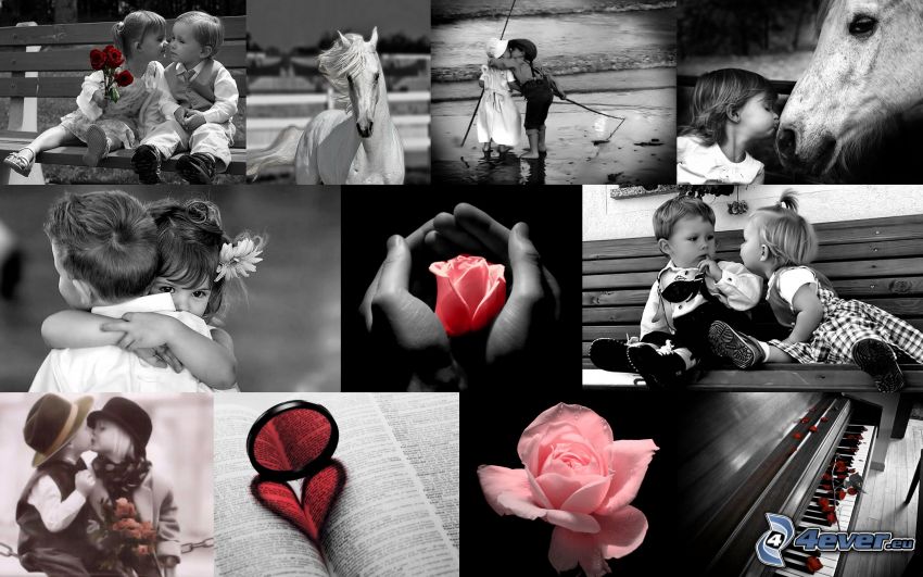barn, hjärta, ros, kärlek, collage