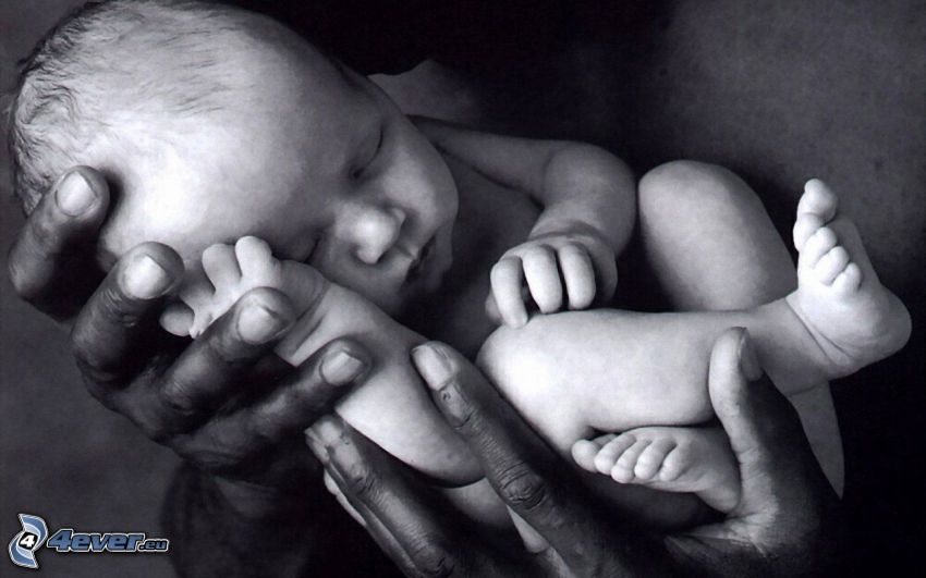 bebis, nyfödd, händer