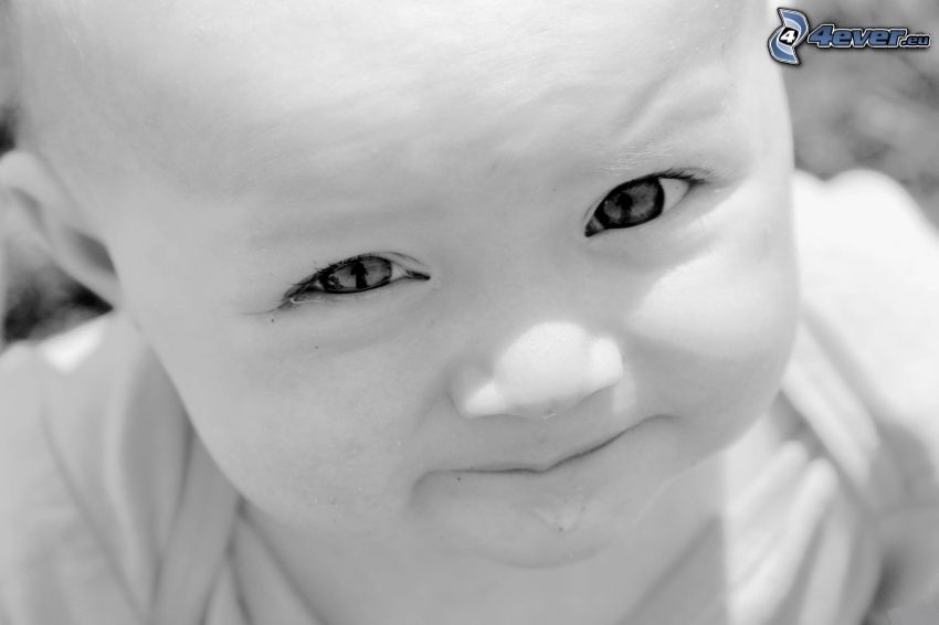bebis, svartvitt foto