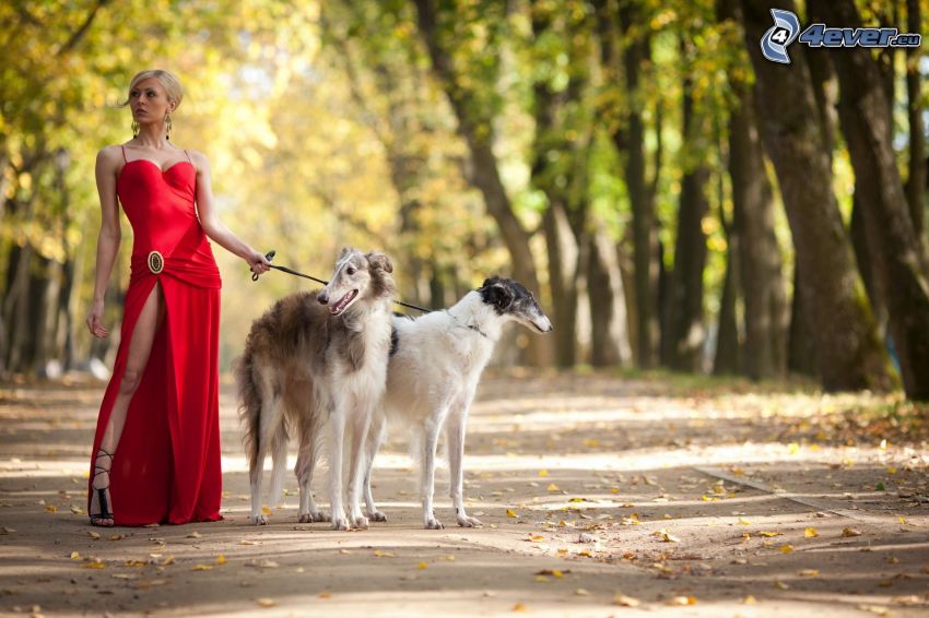blondin, röd klänning, två hundar