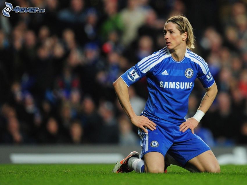 Fernando Torres, fotbollsspelare