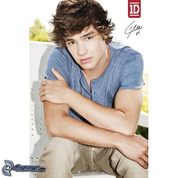 Liam Payne, One Direction