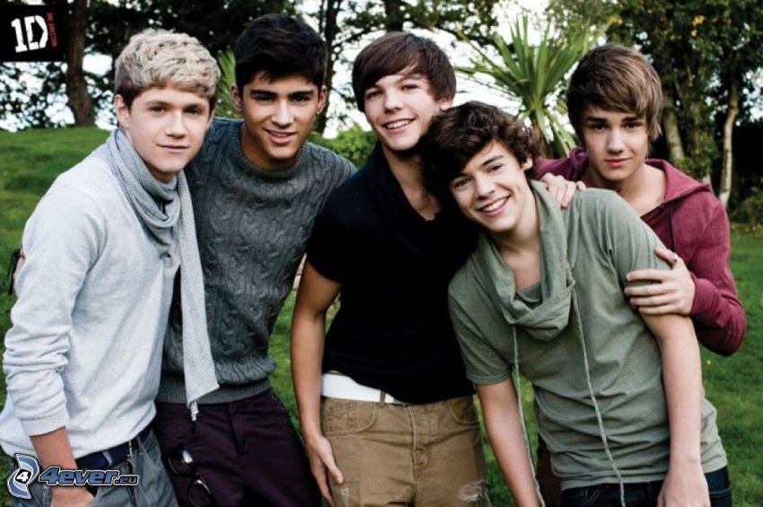 One Direction, Louis Tomlinson, Liam Payne, Niall Horan, Harry Styles, Zayn Malik