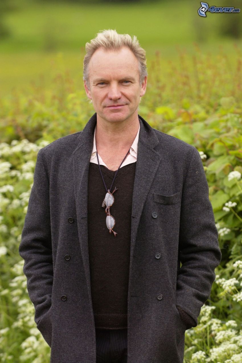 Sting