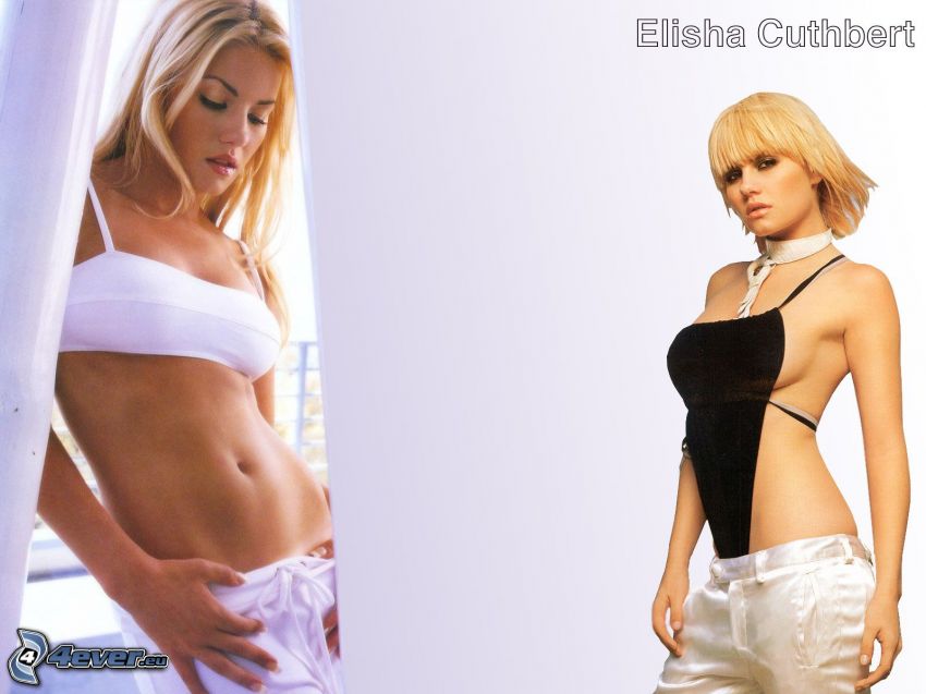 Elisha Cuthbert, blondin