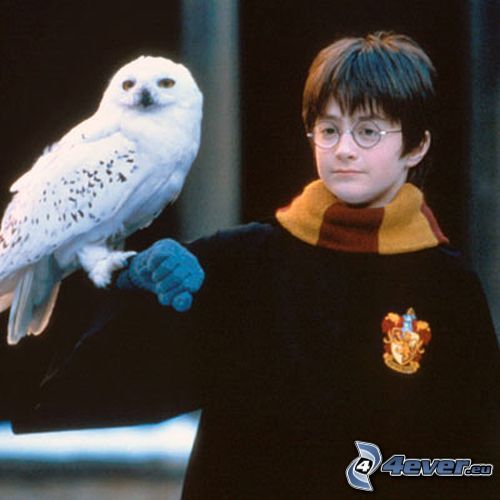 Harry Potter, Daniel Radcliffe