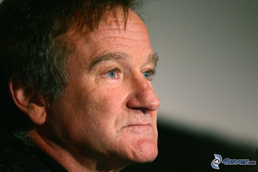 Robin Williams, blick