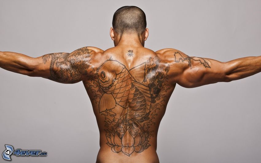 tatuerad man, rygg, muskler