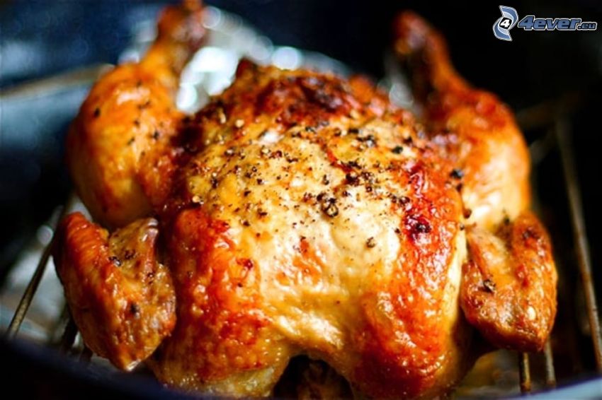 grillad kyckling