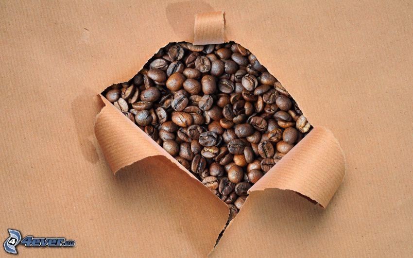 kaffebönor