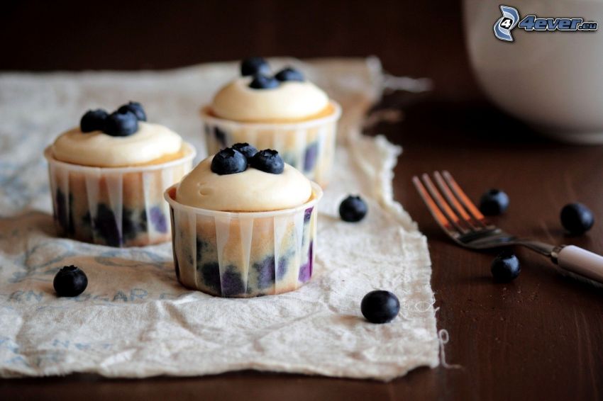 muffins, blåbär