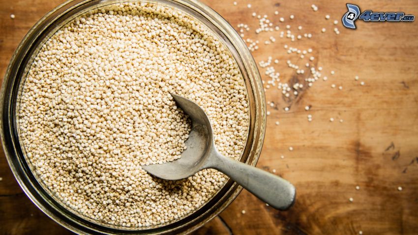 Quinoa, soppslev, skål