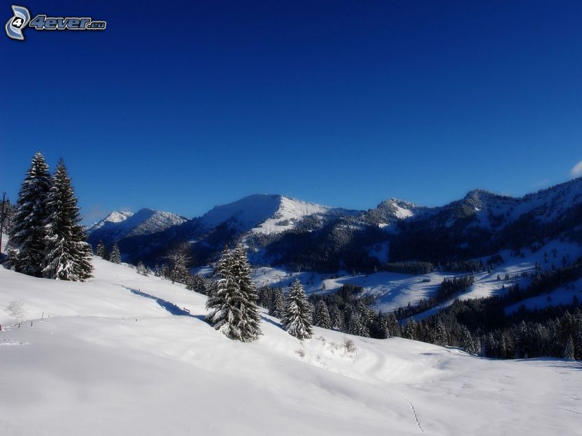 Alperna, snöigt landskap