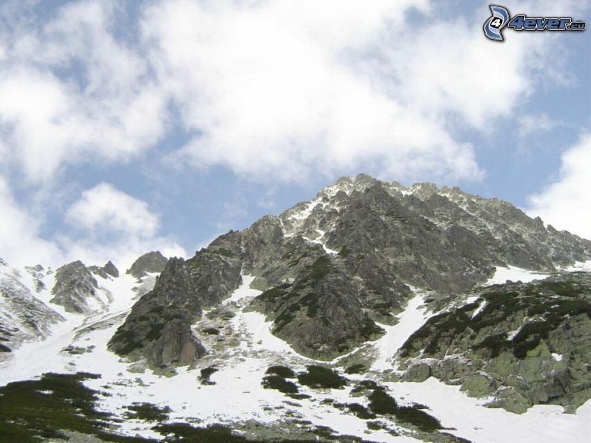 Höga Tatras, bergstopp, snö, bergtall
