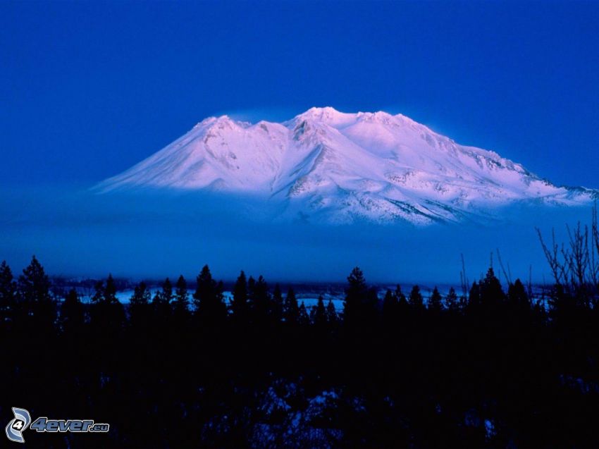 Mount Shasta, Kalifornien, skog, snö