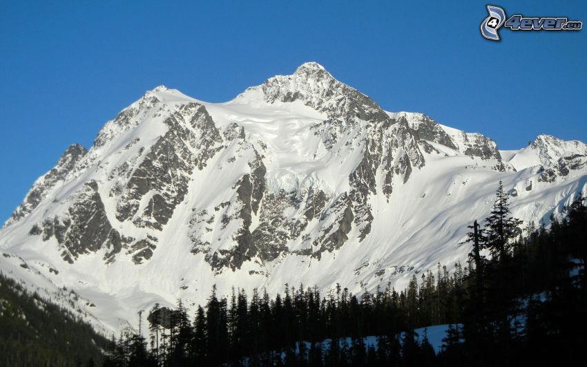 Mount Shuksan, snöigt berg
