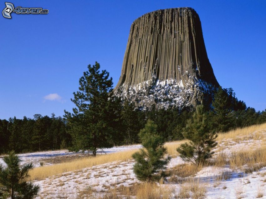 Devils Tower, klippa, barrträd, snöig äng