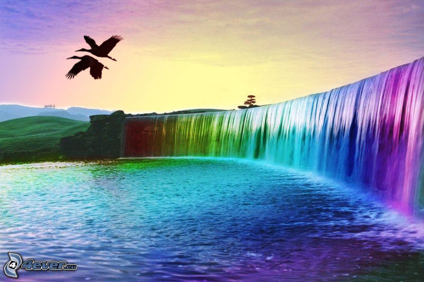 färggrannt vattenfall, fåglar