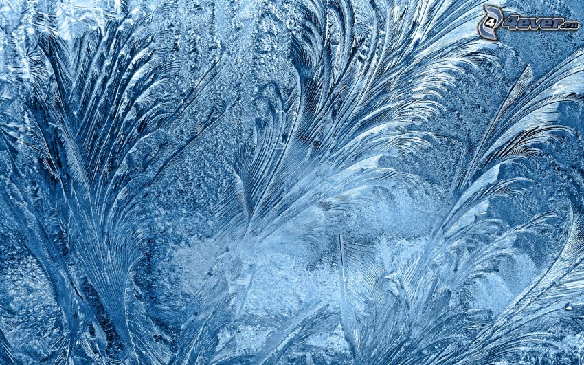 frost, glas