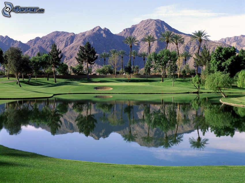 golfbana, sjö, palmer, klippiga berg