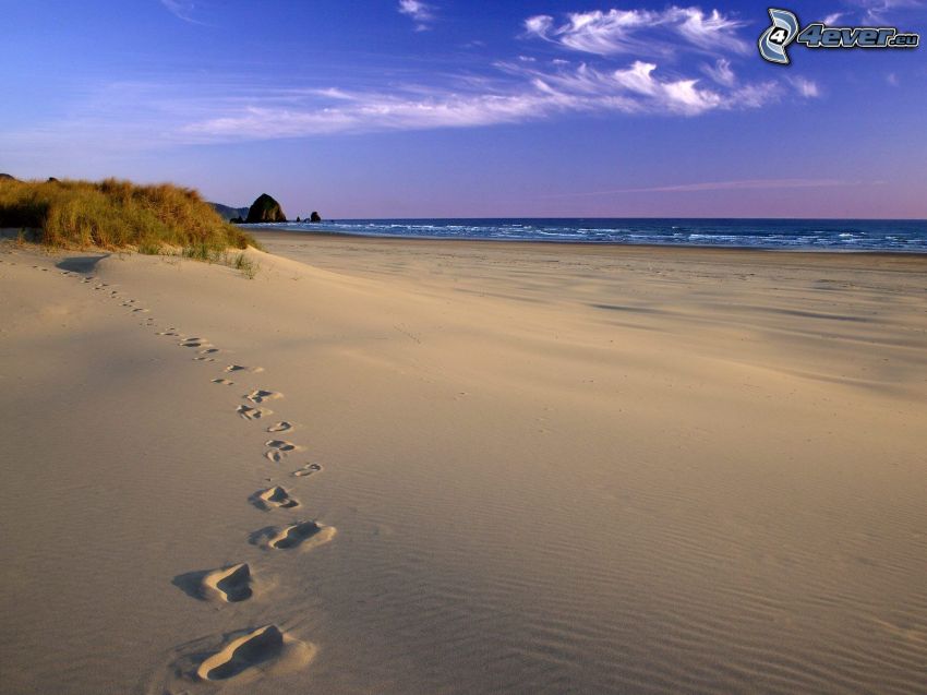 fotspår i sanden, strand, hav