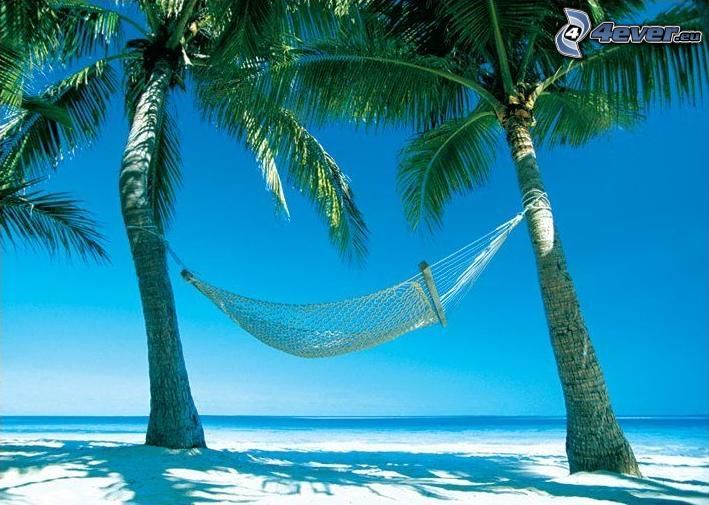 hängmatta, palmer på strand, sand, hav, semester