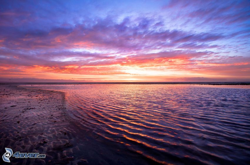 hav, strand, kvällshimmel