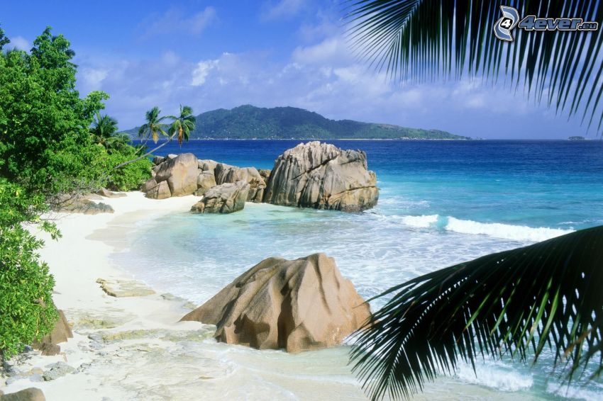 klippor i havet, strand, palmblad, ö