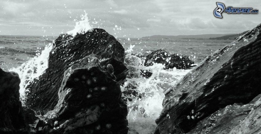 klippstrand, svartvitt foto