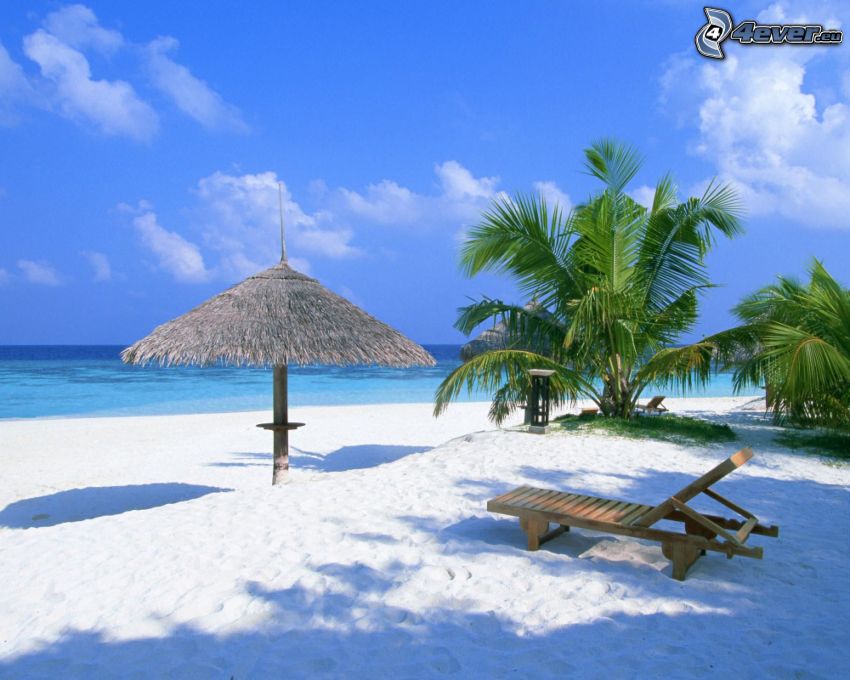 parasoll på stranden, solstol, palmer