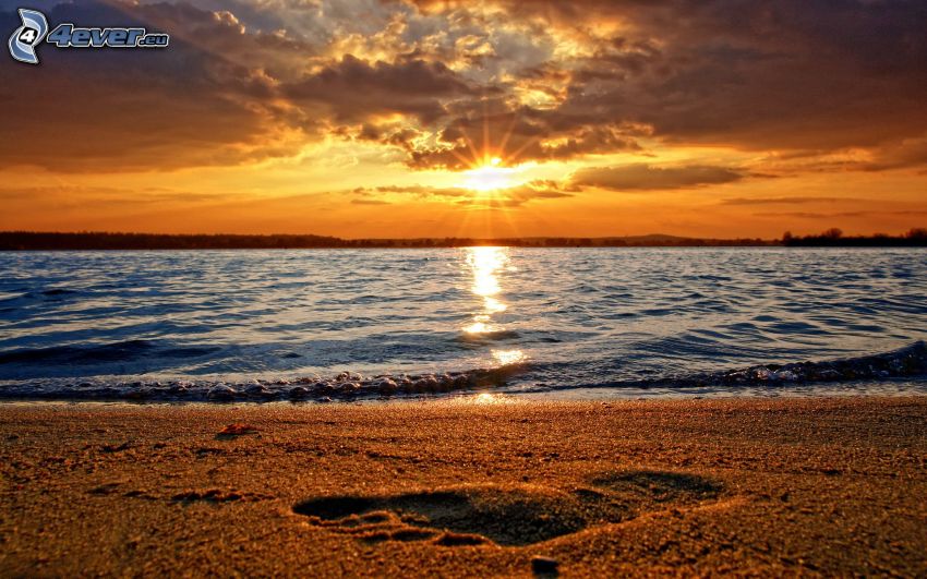 solnedgång över hav, sandstrand