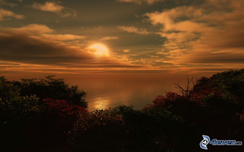 solnedgång över havet, buskar, havsutsikt