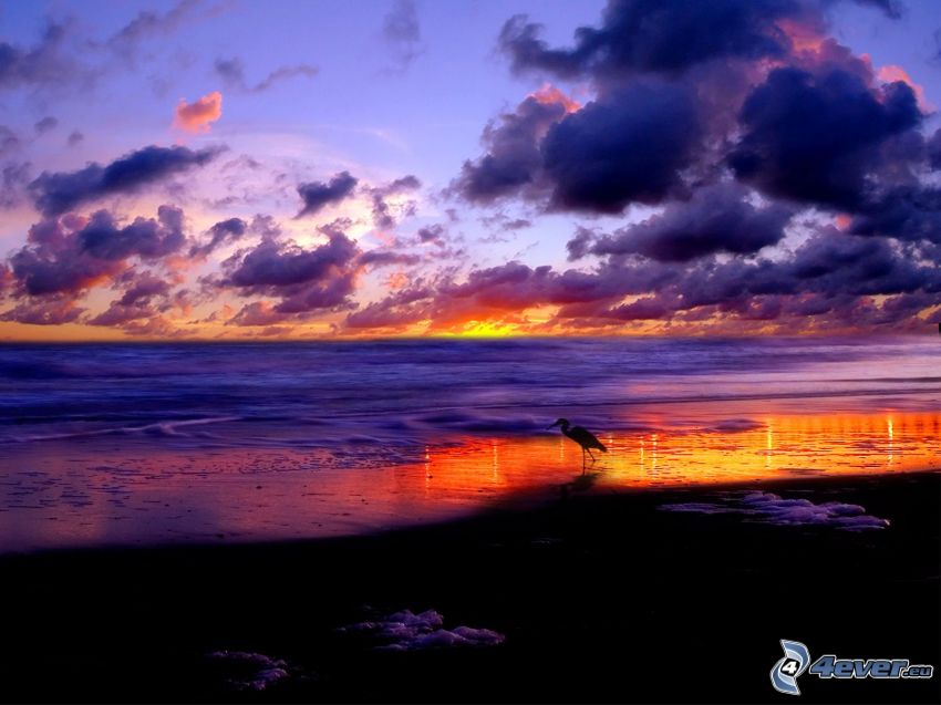 solnedgång över havet, moln, strand