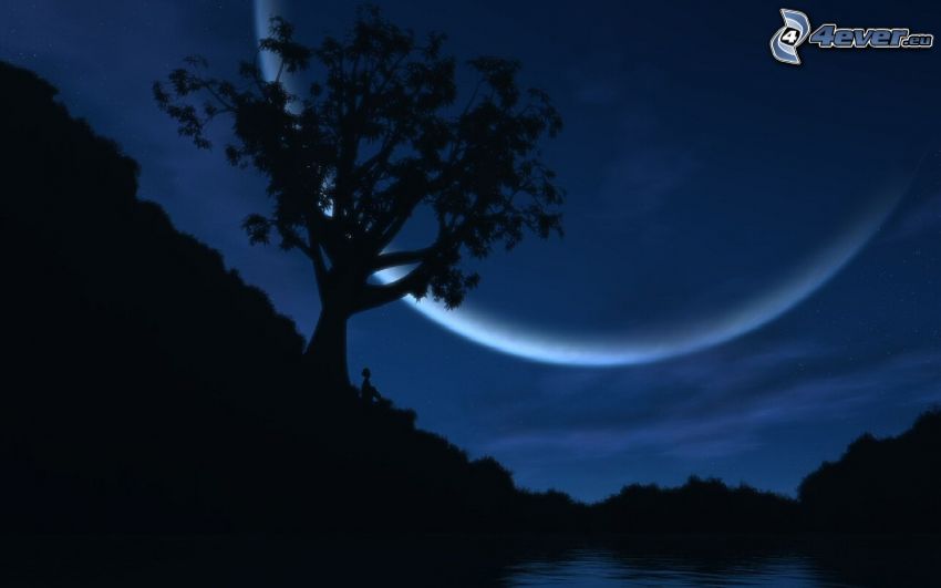 natt, träd, måne