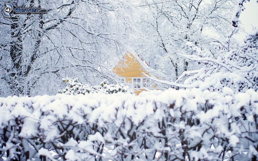 hus, snöigt landskap
