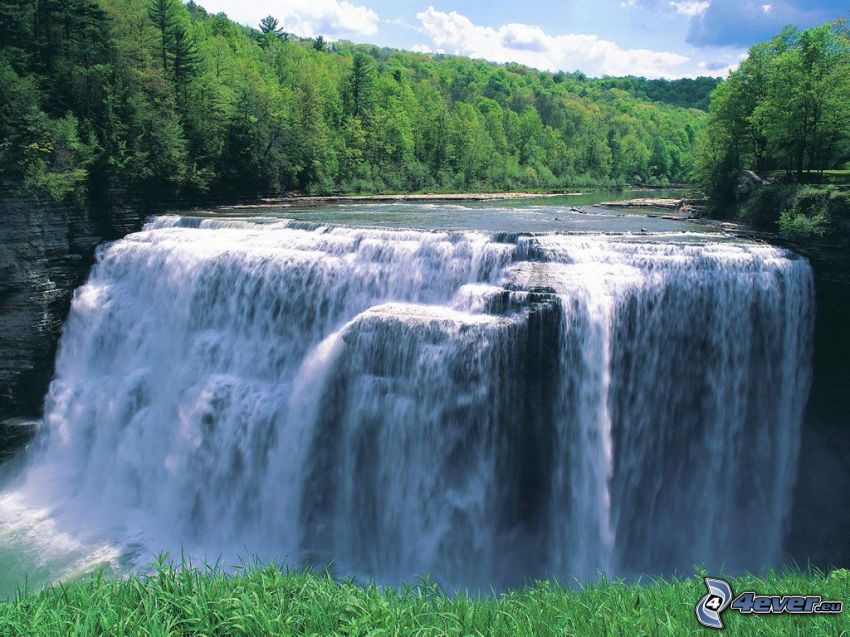 enormt vattenfall, flod, skog