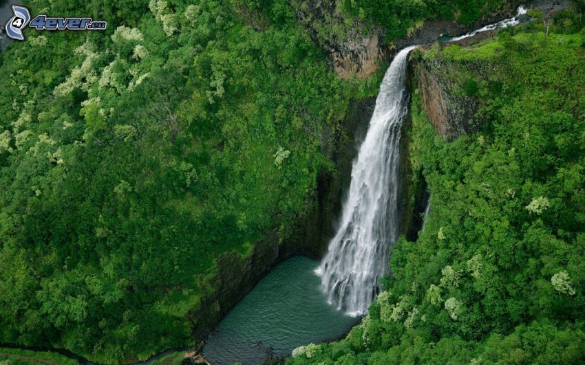 enormt vattenfall, klippor, träd