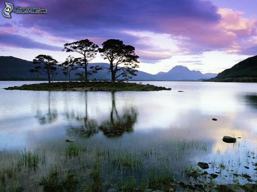 ensamma träd, Skottland, ö, sjö, berg, vatten