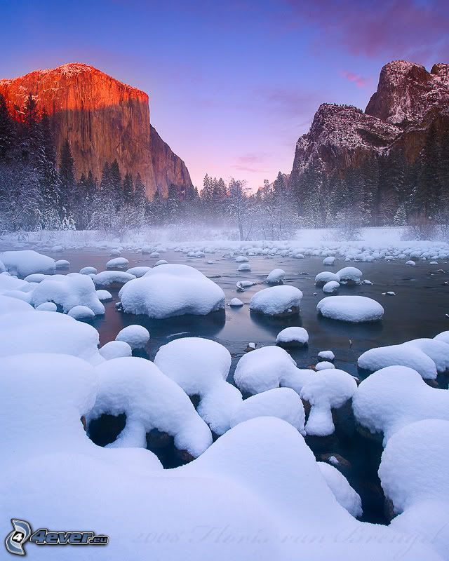 flod i Yosemite National Park, vinterfloden, El Capitan, klippor, skog