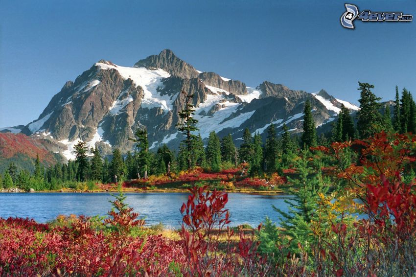 Mount Baker, Snoqualmie National Forest, sjö, skog