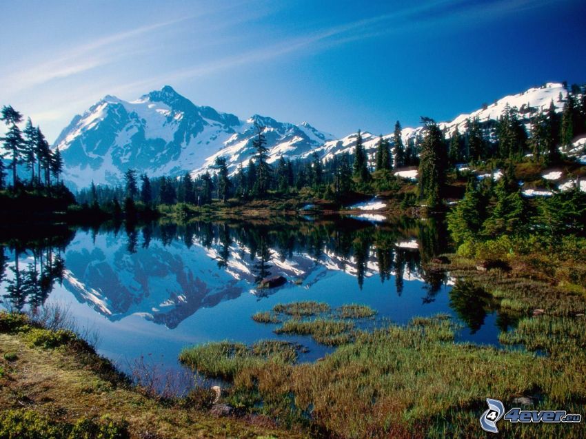North Cascades National Park, USA, snöiga berg ovanför sjö, tjärn, barrträd