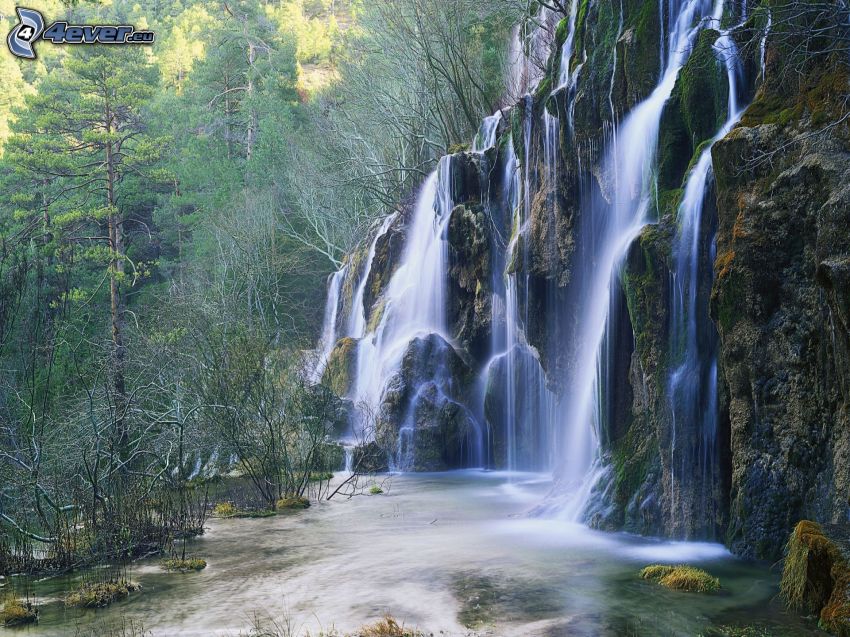 Río Cuervo, Spanien, vattenfall, skog