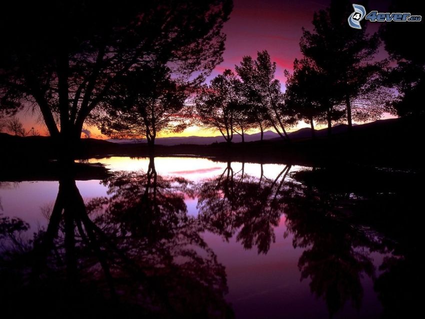 skymning, sjö, efter solnedgången, siluetter av träd, spegling